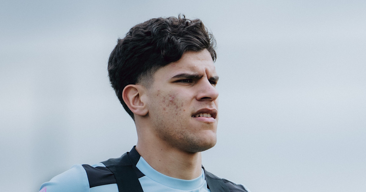 Rush Green Training: When Can Fans Meet West Ham Stars?